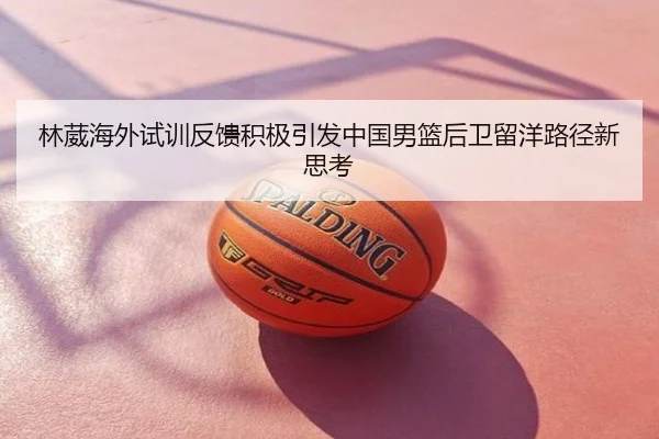 林葳海外试训反馈积极引发中国男篮后卫留洋路径新思考